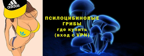 мяу мяу кристалл Осинники