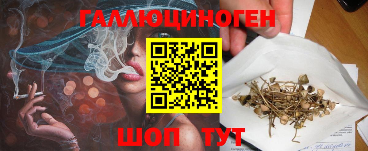 Балабаново  Псилоцибиновые грибы Psilocybe  закладка  Вход с VPN 